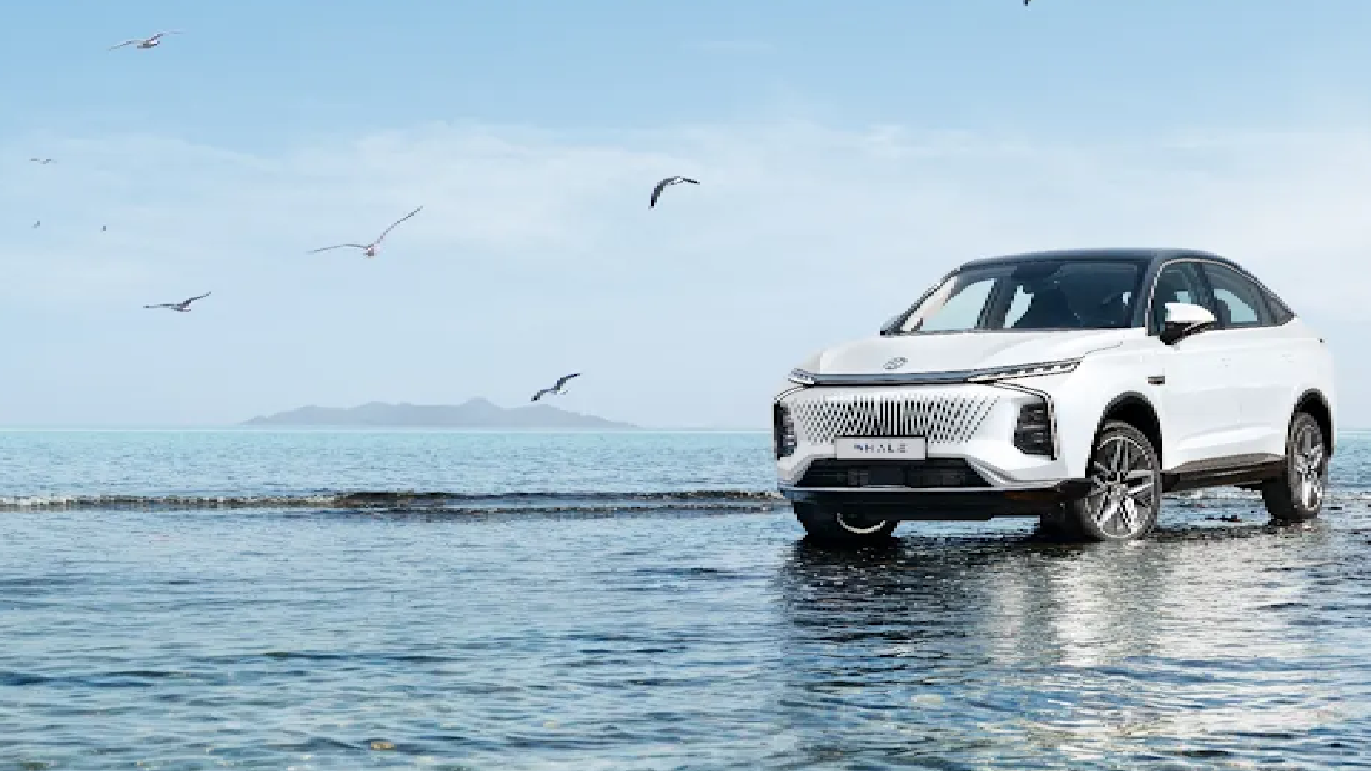 The All-New MG WHALE